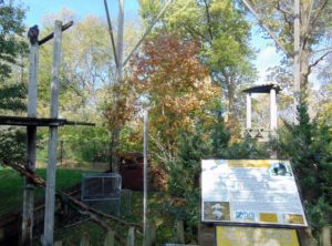 Golden Eagle Habitat Topeka Zoo