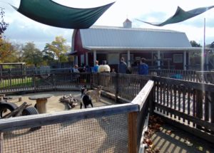 Kids Zone Petting Zoo Topeka Zoo
