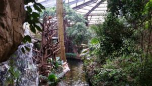 Lied Jungle Building Henry Doorly Zoo Omaha NE