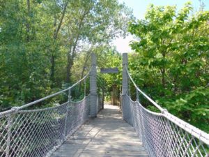 Bridge to Gorilla Forest Sedgwick County Zoo Wichita KS