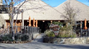 Serengeti Grill Giants of the Savanna Africa Dallas Zoo