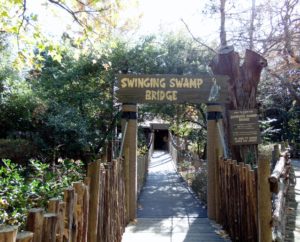 Swinging Swamp Bridge Piney Woods & Swamps Fort Worth Zoo