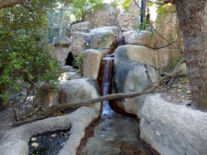 Waterfall Gorilla Trails Avary Africa Dallas Zoo