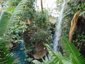 Waterfall Manatee Pond Dallas World Aquarium Dallas TX