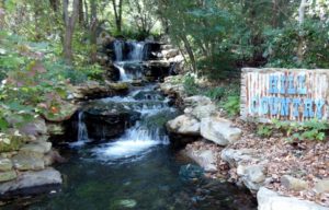 Waterfall Texas Hill Country Fort Worht Zoo