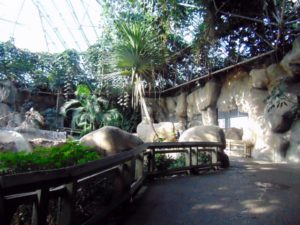 World of Primates Fort Worth Zoo