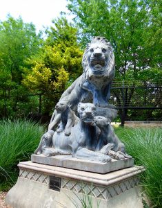 African Lion Pride Statue Dickerson Park Zoo Springfield Missouri