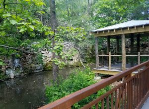 South America Exhibit Dickerson Park Zoo Springfield Missouri