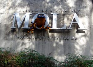 MOLA Museum of Living Art