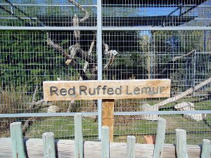 Red Ruffed Lemur Signage & Habitat