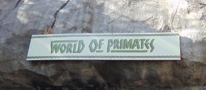 World of Primates