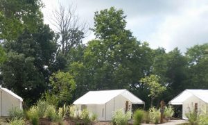 African Safari Campsite