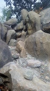 Rock Hyrax Habitat