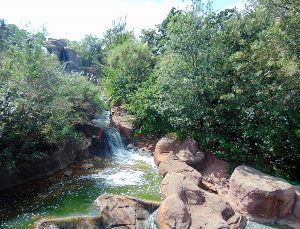 Arkansas Valley Trail River