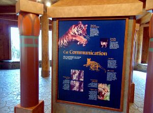 Big Cat Educational Signage