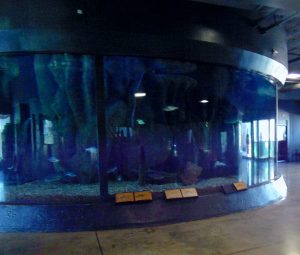 Big Rivers Freshwater Fish Aquarium