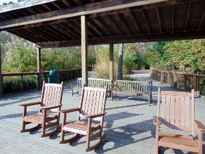 Covered Viewing & Rocking Chairs Overlook African Savanna