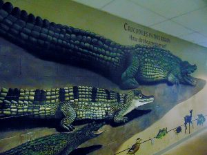 Crocodile Educational Mural