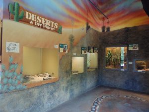 Deserts & Dry Places Diversity of Life (Herpetarium)