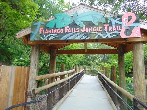 Flamingo Falls Jungle Trail