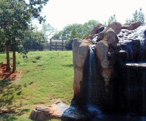 Grizzly Bear Waterfall