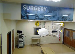 Joan Kilpatrick Veterinary Hospital Surgery Suite