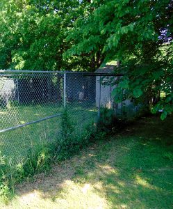 Maned Wolf Breeding Pen