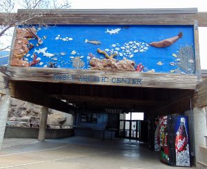 Noble Aquatic Center