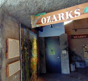 Ozarks Diversity of Life (Herpetarium)