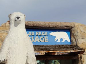 Polor Bear Passage Statue & Habitat