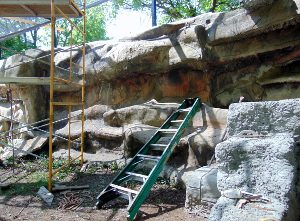 Spider Monkey Habitat Renovation