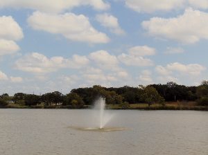 Zoo Lake Fountain