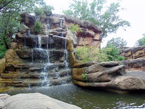 Asian Falls and Koi Pond