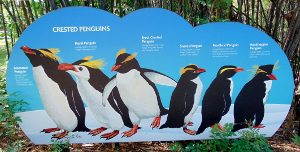Penguin Signage
