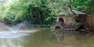 Little Rock Zoo Duck and Turtle Pond