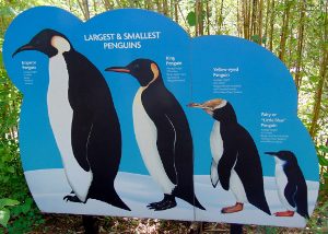 Penguin Education Sign