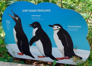 Penguin Sign