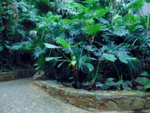 Little Rock Zoo Tropical Bird House