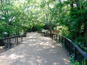 Little Rock Zoo Walkway