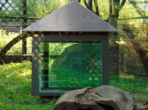 Coati Habitat Rolling Hill Zoo