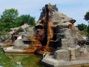 African Black-footed Penguin Habitat