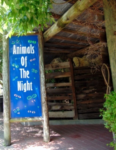 Animals of the Night Exhibit