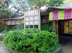 Bonobo Exhibit Entrance