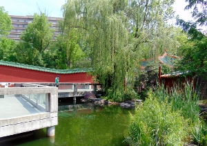 China Garden