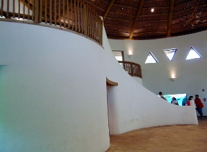 Staircase inside Hippo Hut