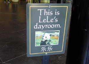 LeLe's Dayroom Signage