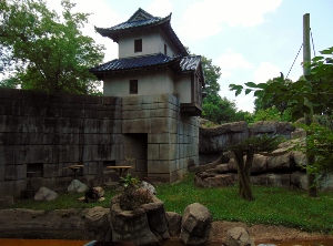 Asian Small-clawed Otter Habitat