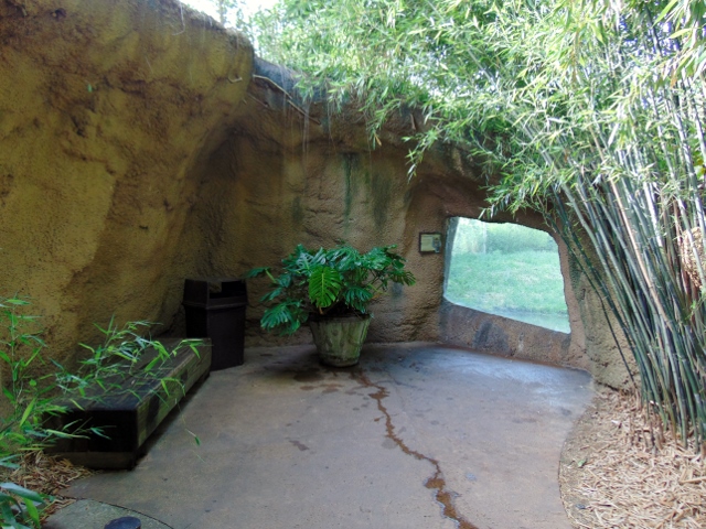 Sumatran & Bengal Tiger Habitat Viewing Window