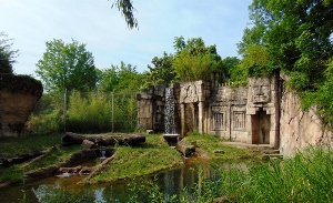 Bengal & Sumatran Tiger Habitat