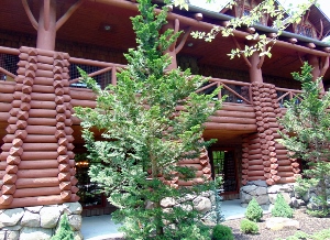 Teton Trek Lodge Outside